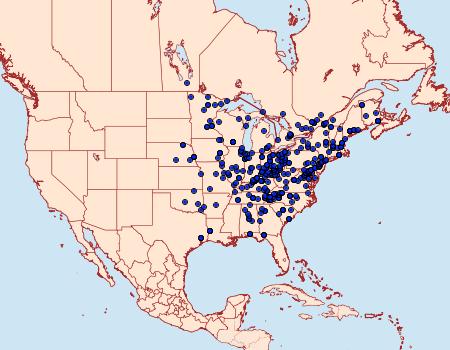 Distribution Data for Protodeltote muscosula