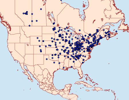 Distribution Data for Pseudeustrotia carneola