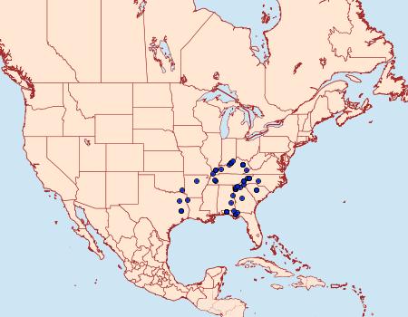 Distribution Data for Argillophora furcilla