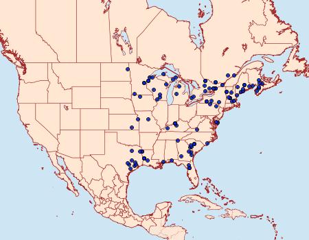 Distribution Data for Cerma cora