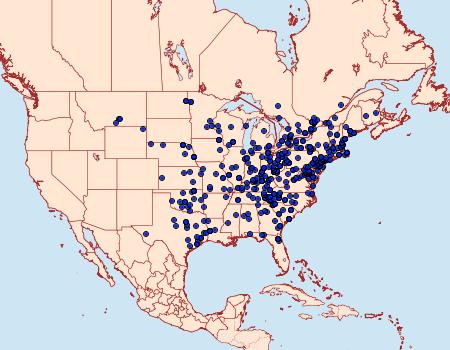 Distribution Data for Cerma cerintha