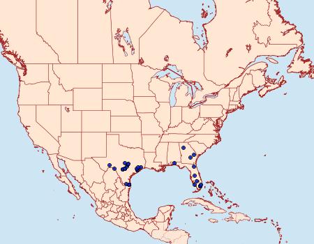 Distribution Data for Diastema tigris