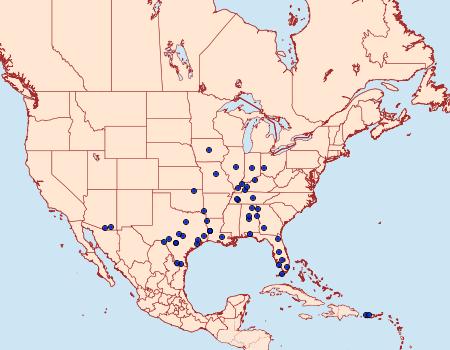 Distribution Data for Amyna bullula