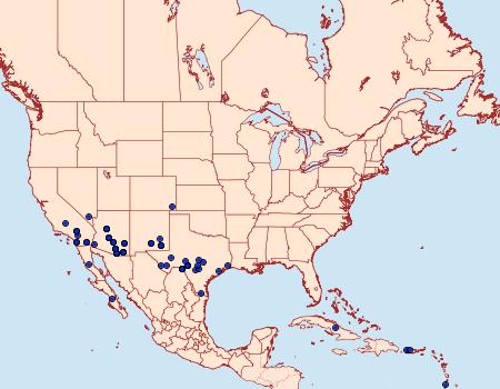 Distribution Data for Metaponpneumata rogenhoferi