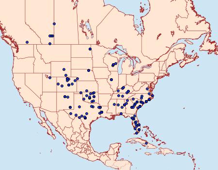 Distribution Data for Ponometia semiflava