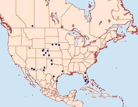 Distribution Data for Ponometia virginalis