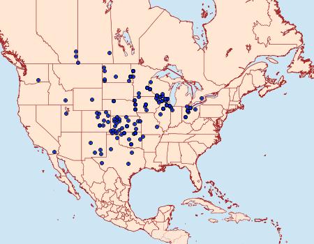 Distribution Data for Ponometia binocula