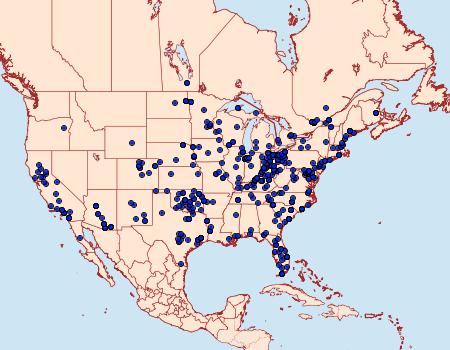 Distribution Data for Ponometia candefacta