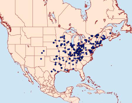 Distribution Data for Ponometia erastrioides