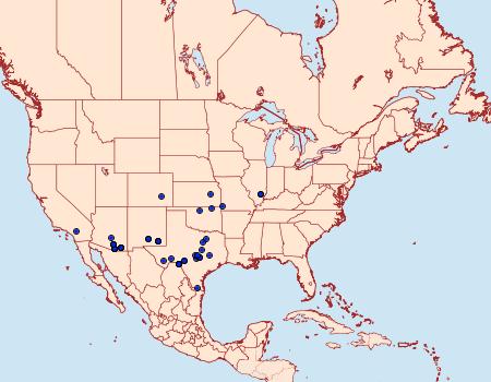 Distribution Data for Ponometia phecolisca