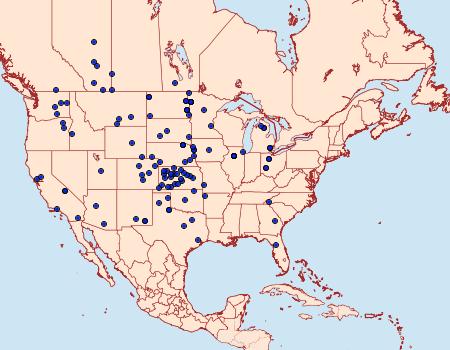 Distribution Data for Ponometia tortricina