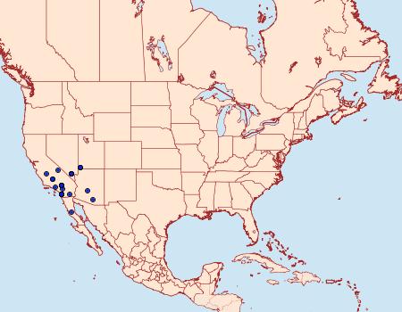 Distribution Data for Ponometia hutsoni