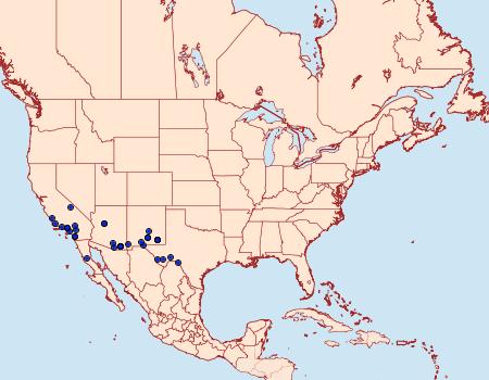 Distribution Data for Ponometia altera