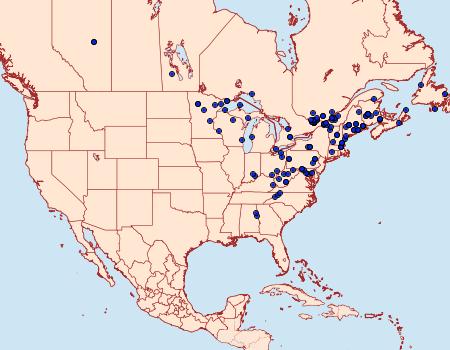 Distribution Data for Bibarrambla allenella