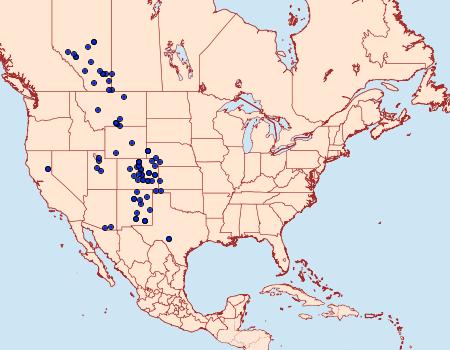 Distribution Data for Tarache augustipennis