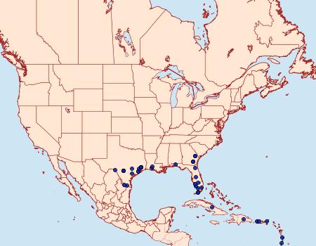 Distribution Data for Ponometia exigua