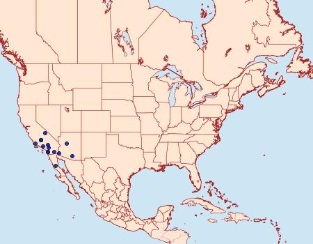 Distribution Data for Ponometia megocula