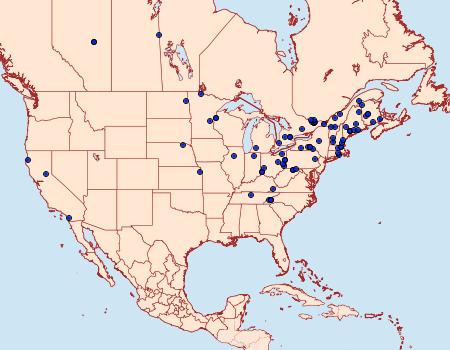 Distribution Data for Semioscopis packardella