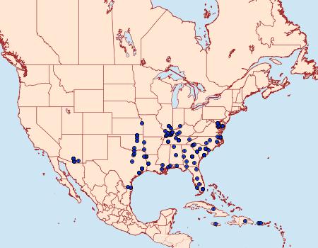 Distribution Data for Spragueia dama