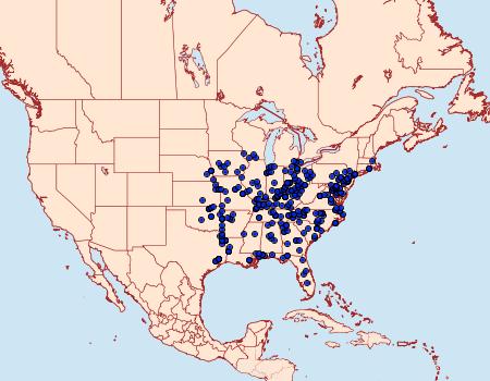 Distribution Data for Spragueia leo