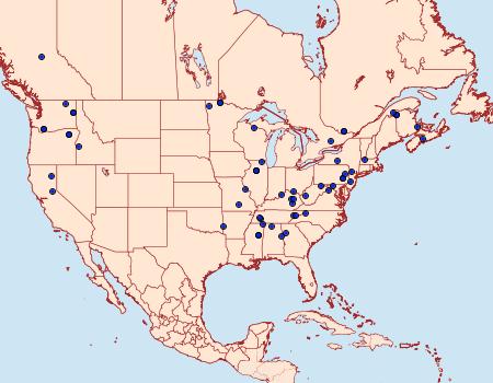 Distribution Data for Semioscopis merriccella