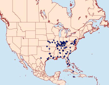 Distribution Data for Spragueia apicalis