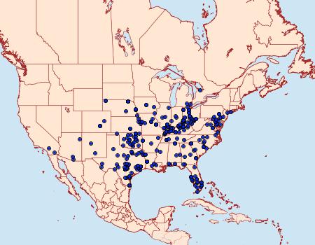 Distribution Data for Tarache aprica