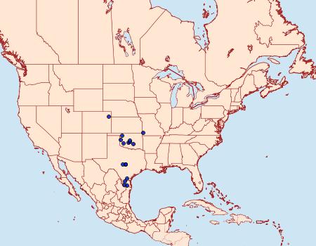 Distribution Data for Tarache lactipennis