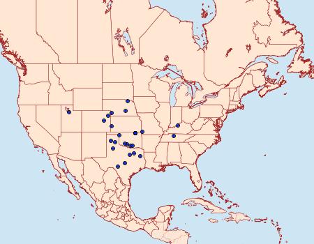 Distribution Data for Tarache abdominalis