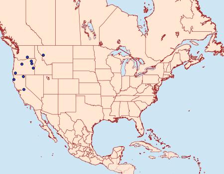 Distribution Data for Tarache knowltoni