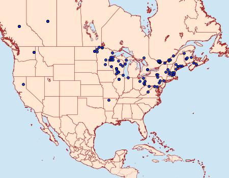 Distribution Data for Semioscopis inornata