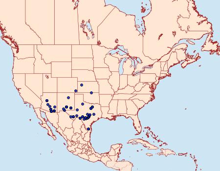 Distribution Data for Tarache quadriplaga