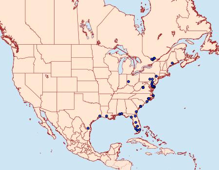 Distribution Data for Tarache terminimaculata