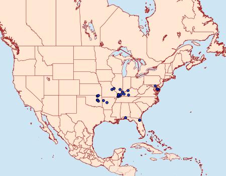 Distribution Data for Tarache delecta