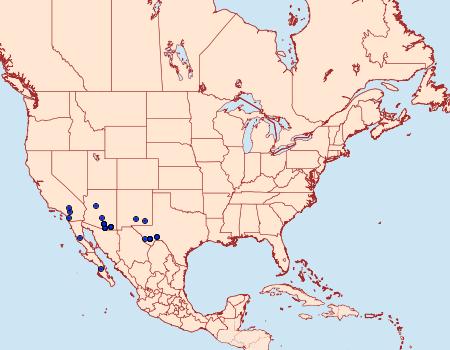 Distribution Data for Tarache lucasi