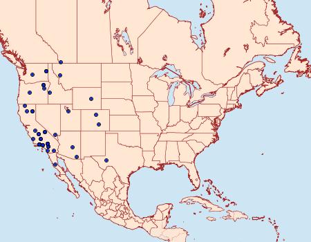 Distribution Data for Tarache major