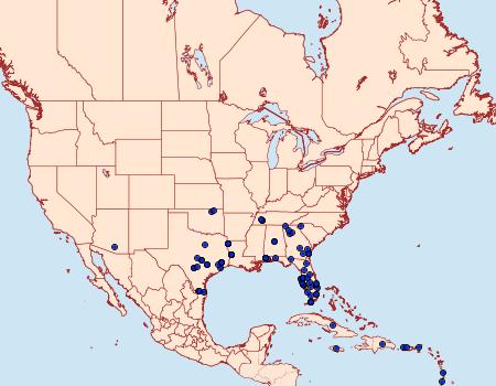 Distribution Data for Bagisara repanda