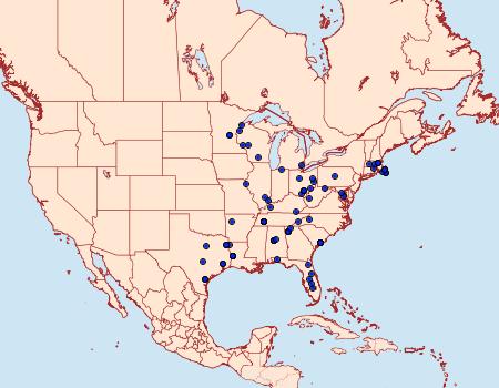 Distribution Data for Bagisara rectifascia