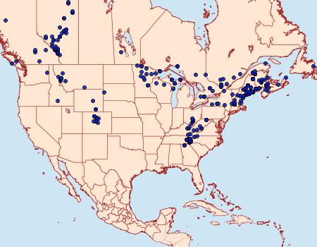 Distribution Data for Panthea acronyctoides