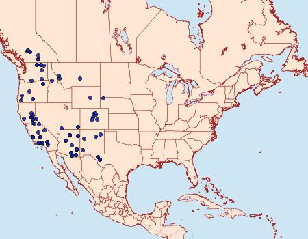 Distribution Data for Panthea gigantea