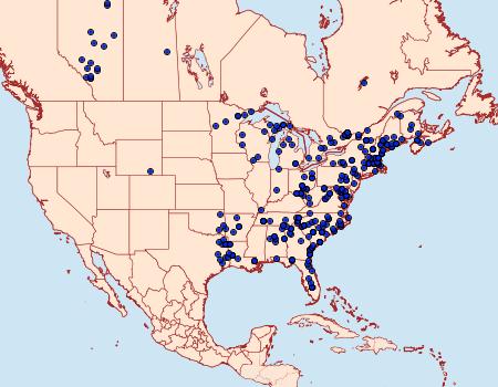 Distribution Data for Panthea furcilla