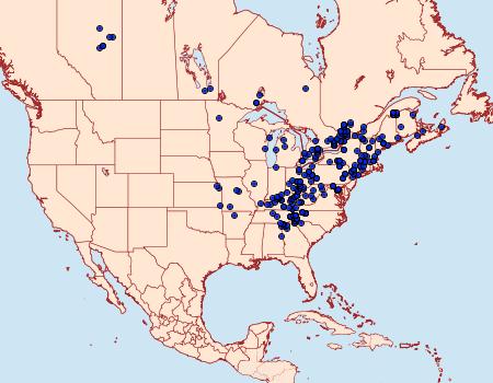 Distribution Data for Colocasia propinquilinea