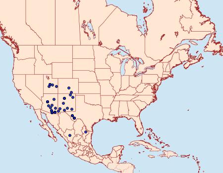 Distribution Data for Pseudopanthea palata