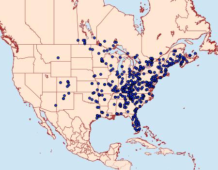 Distribution Data for Charadra deridens