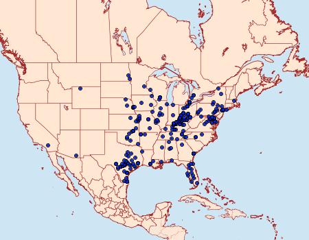 Distribution Data for Acronicta rubricoma