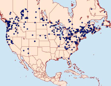 Distribution Data for Acronicta insita