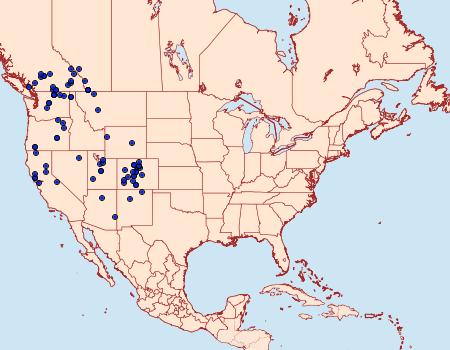 Distribution Data for Acronicta cyanescens