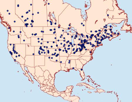 Distribution Data for Acronicta lepusculina