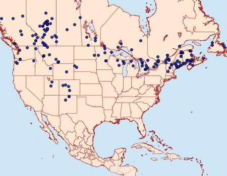 Distribution Data for Acronicta vulpina