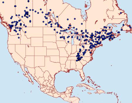 Distribution Data for Acronicta innotata